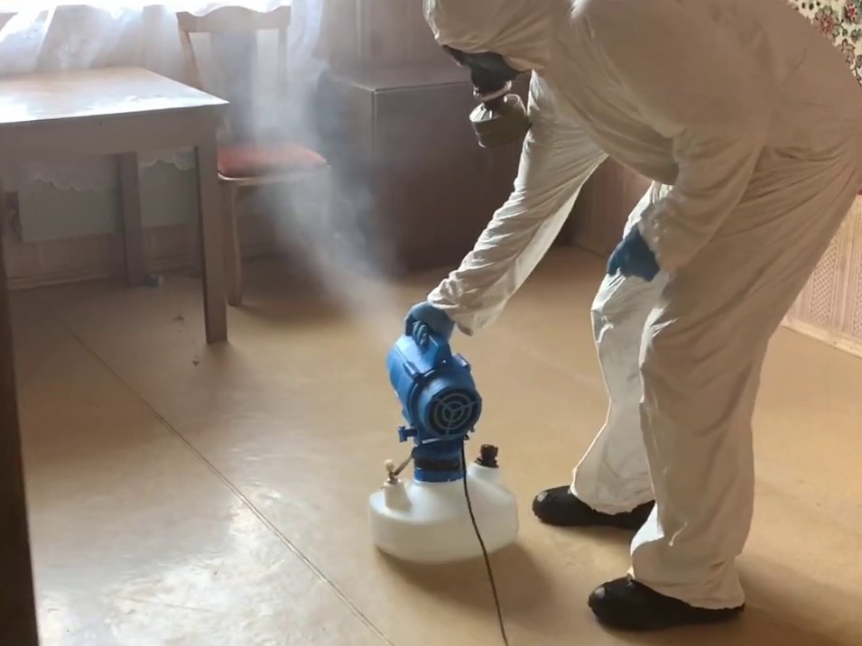 Уничтожение тараканов в квартире в Архангельске